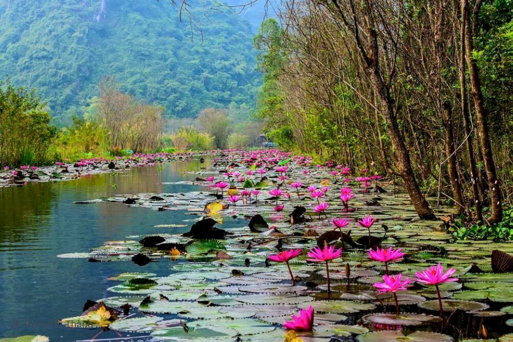 Pilgrims and tourists alike can enjoy the beauty of the river
